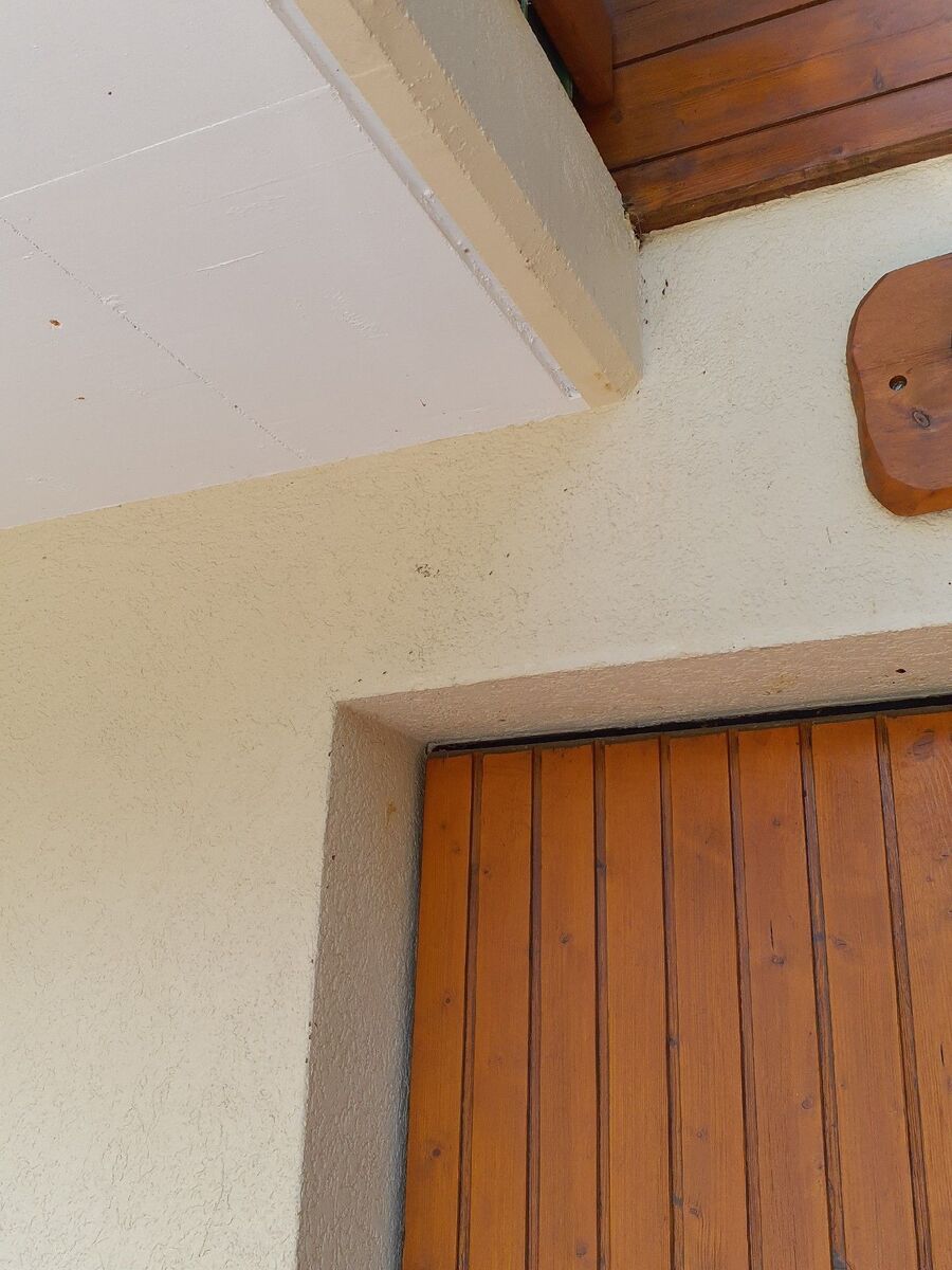 desinfestateur exterminateur-Murten-Einsatzvorbereitung.jpeg