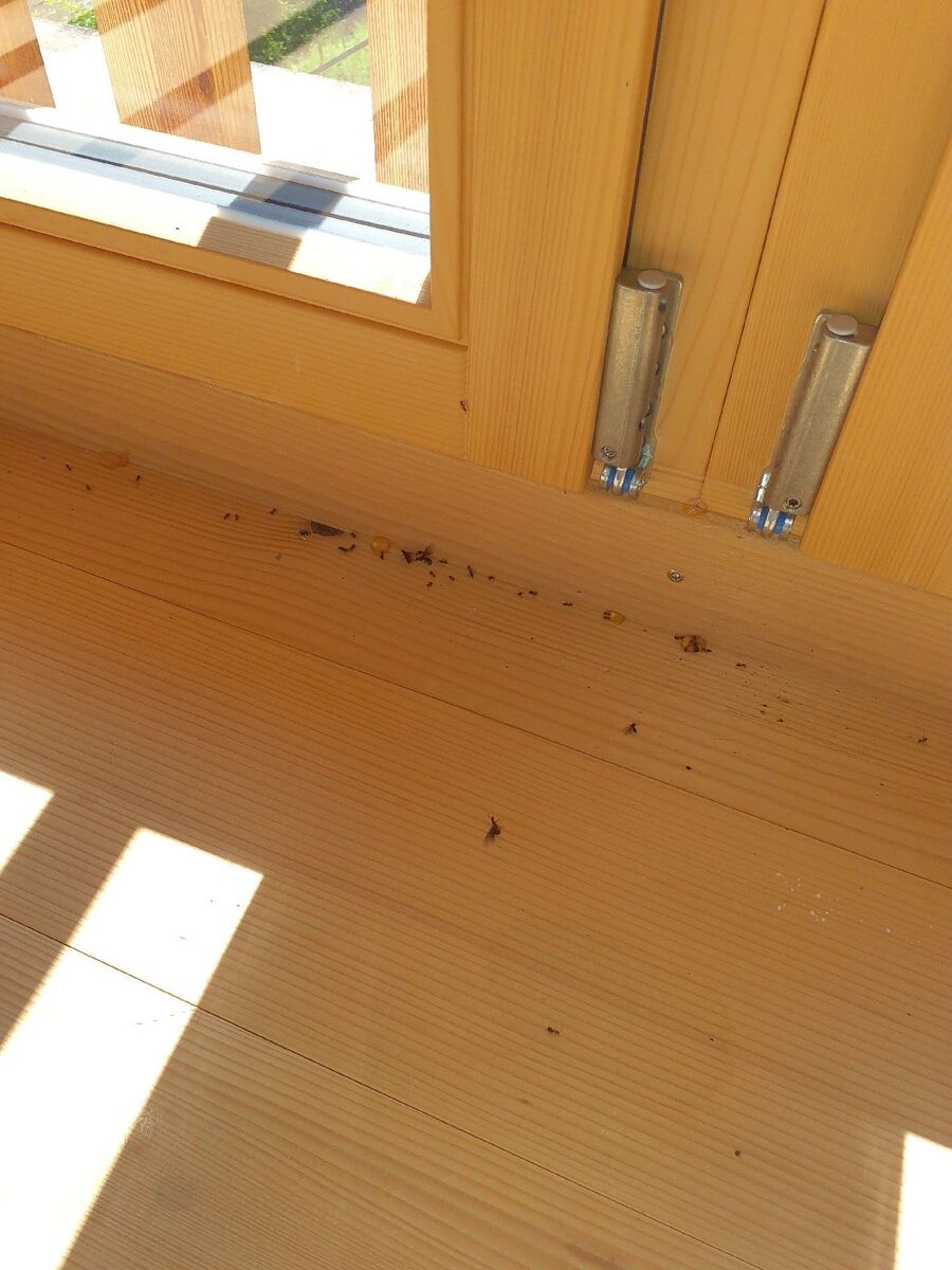 desinfestateur exterminateur-Nuvilly-Einsatzvorbereitung.jpeg