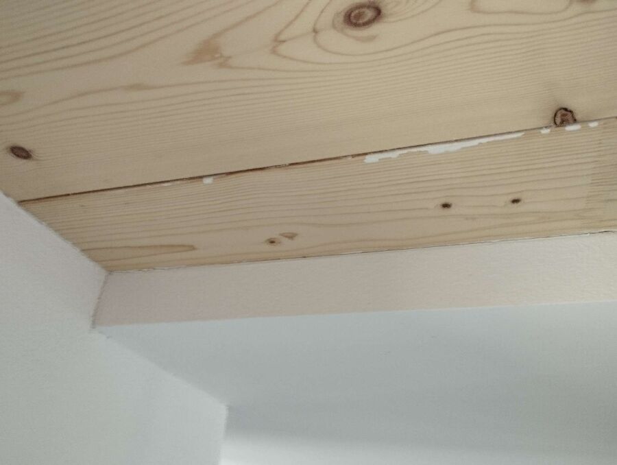 desinfestateur exterminateur-Bernex-Einsatzvorbereitung.jpeg