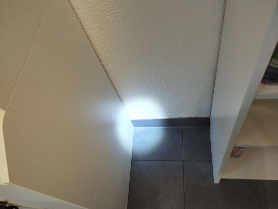 desinfestateur exterminateur-Pont-en-Ogoz-Einsatzvorbereitung.jpeg