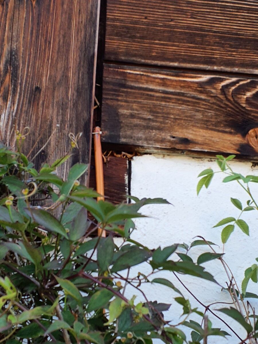 desinfestateur exterminateur-Pont-la-Ville-Einsatzvorbereitung.jpeg