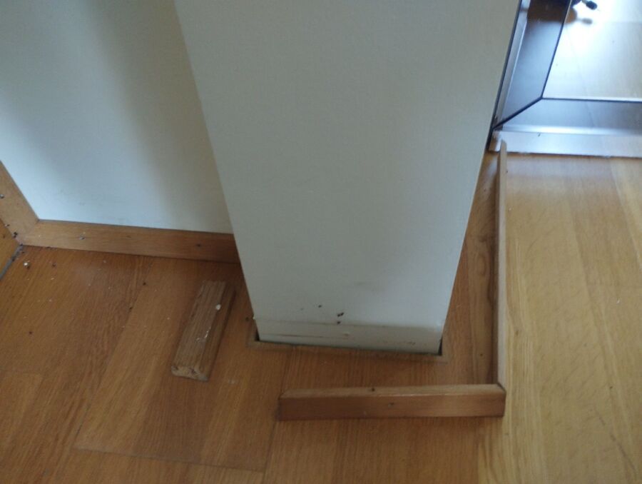 desinfestateur exterminateur-Remaufens-Einsatzvorbereitung.jpeg