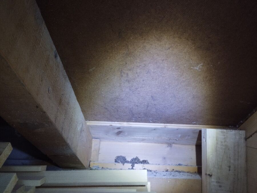 desinfestateur exterminateur-Ried bei Kerzers-Einsatzvorbereitung.jpeg