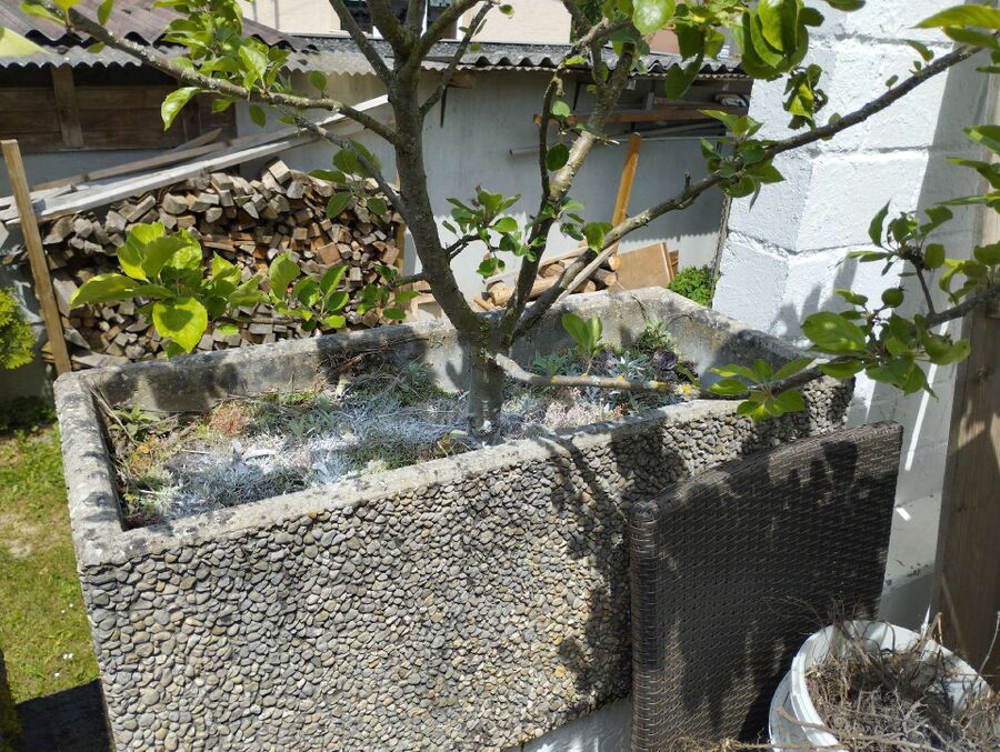 desinfestateur exterminateur-Romont (FR)-Einsatzvorbereitung.jpeg