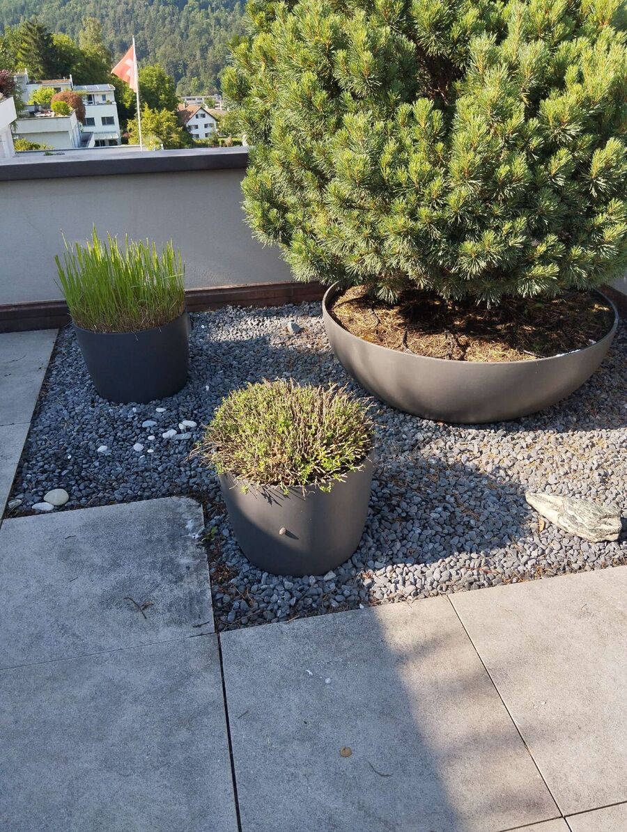 desinfestateur exterminateur-Saint-Martin (FR)-Einsatzvorbereitung.jpeg