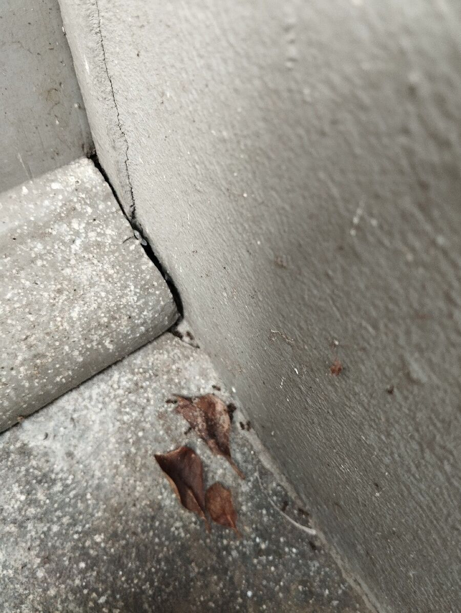 desinfestateur exterminateur-Sâles-Einsatzvorbereitung.jpeg