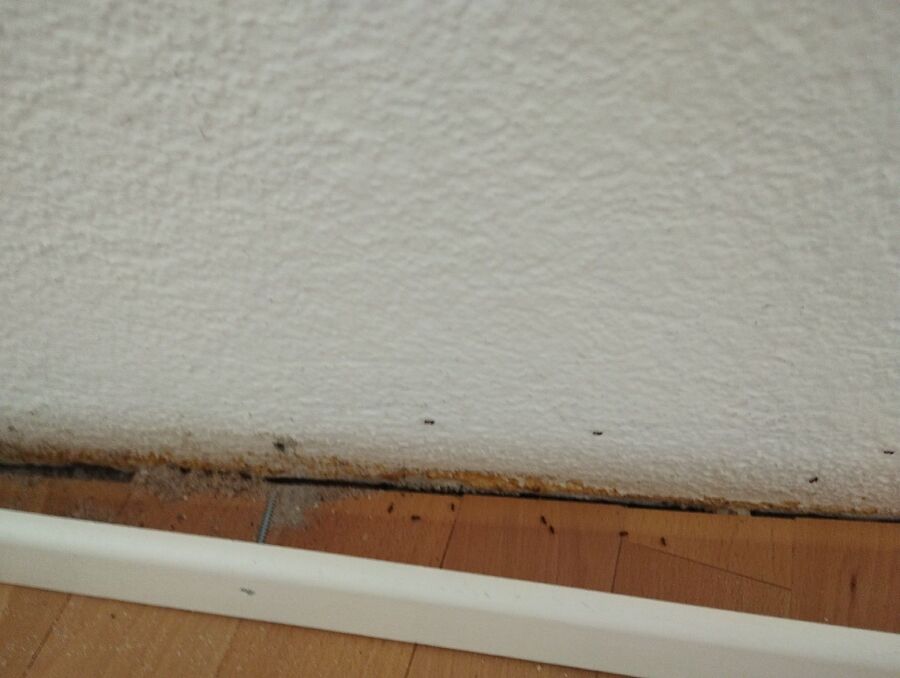 desinfestateur exterminateur-Sévaz-Einsatzvorbereitung.jpeg