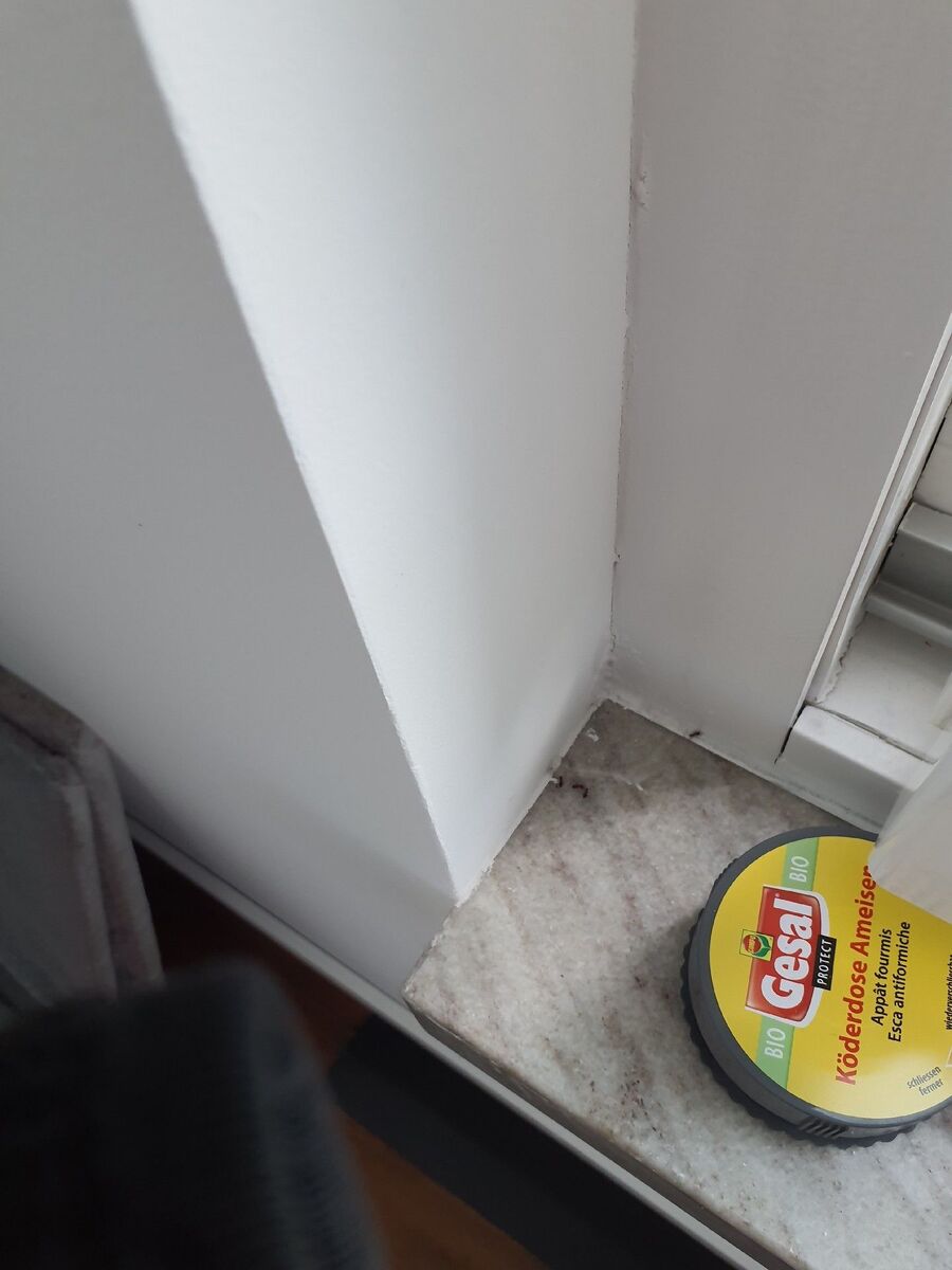 desinfestateur exterminateur-Sorens-Einsatzvorbereitung.jpeg