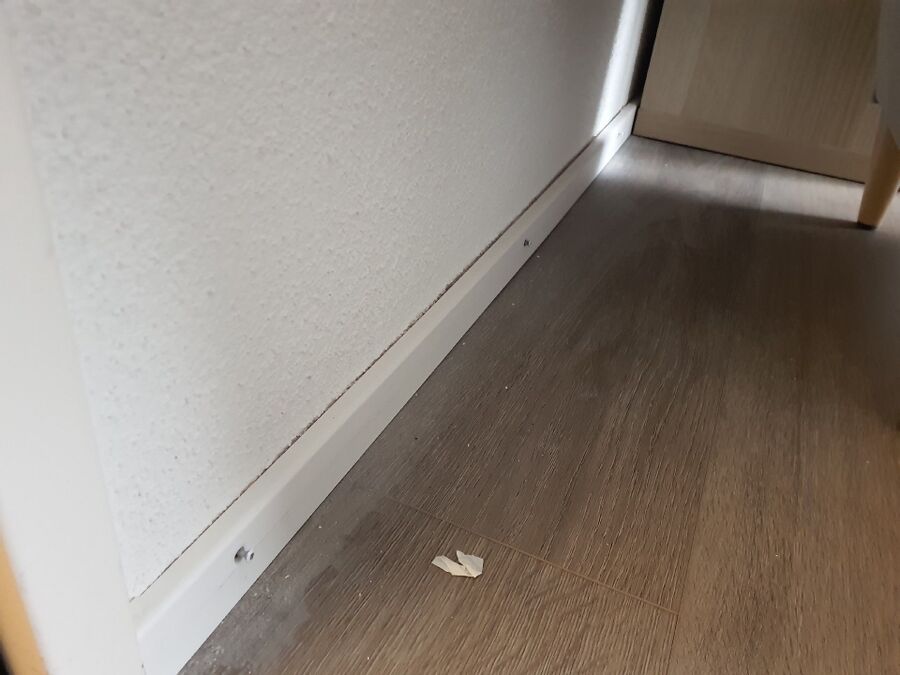 desinfestateur exterminateur-St. Silvester-Einsatzvorbereitung.jpeg