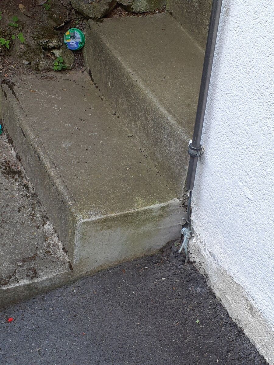 desinfestateur exterminateur-St. Ursen-Einsatzvorbereitung.jpeg