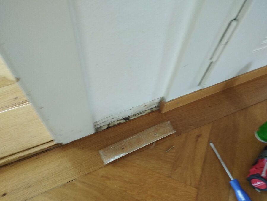 desinfestateur exterminateur-Tentlingen-Einsatzvorbereitung.jpeg