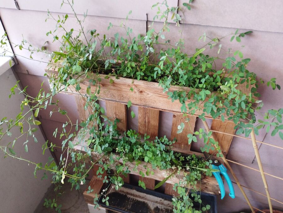 desinfestateur exterminateur-Ueberstorf-Einsatzvorbereitung.jpeg