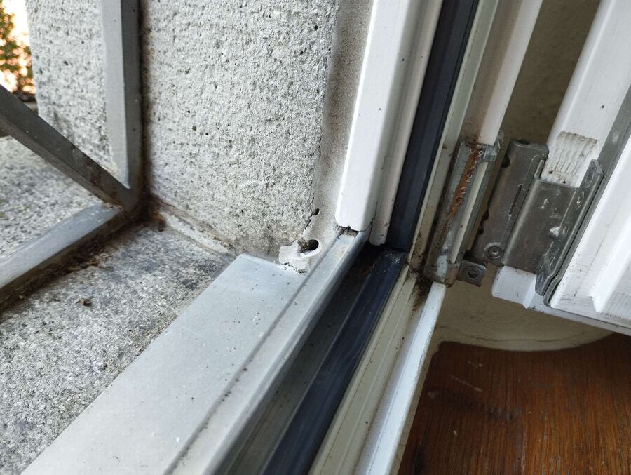 desinfestateur exterminateur-Céligny-Einsatzvorbereitung.jpeg