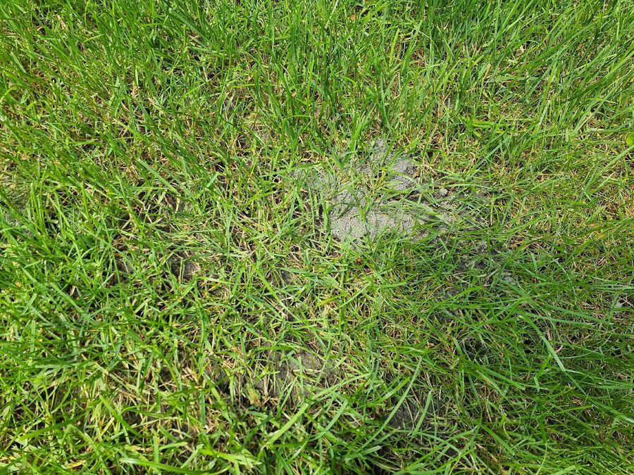 desinfestateur exterminateur-Val-de-Charmey-Einsatzvorbereitung.jpeg