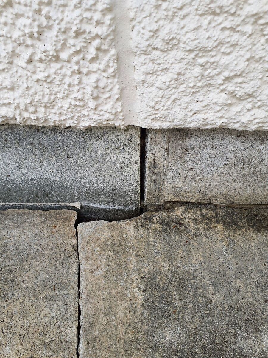 desinfestateur exterminateur-Vaulruz-Einsatzvorbereitung.jpeg