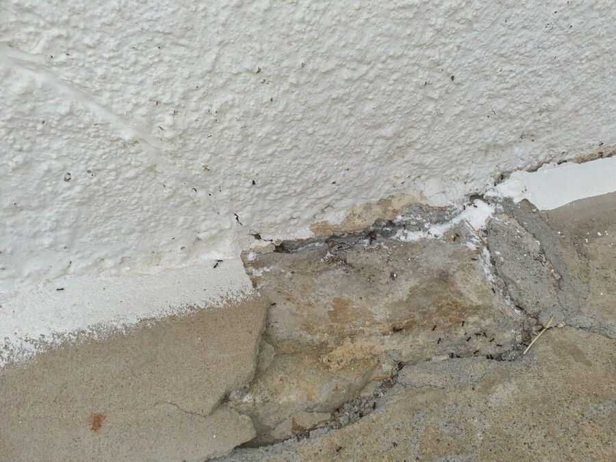 desinfestateur exterminateur-Villars-sur-Glâne-Einsatzvorbereitung.jpeg