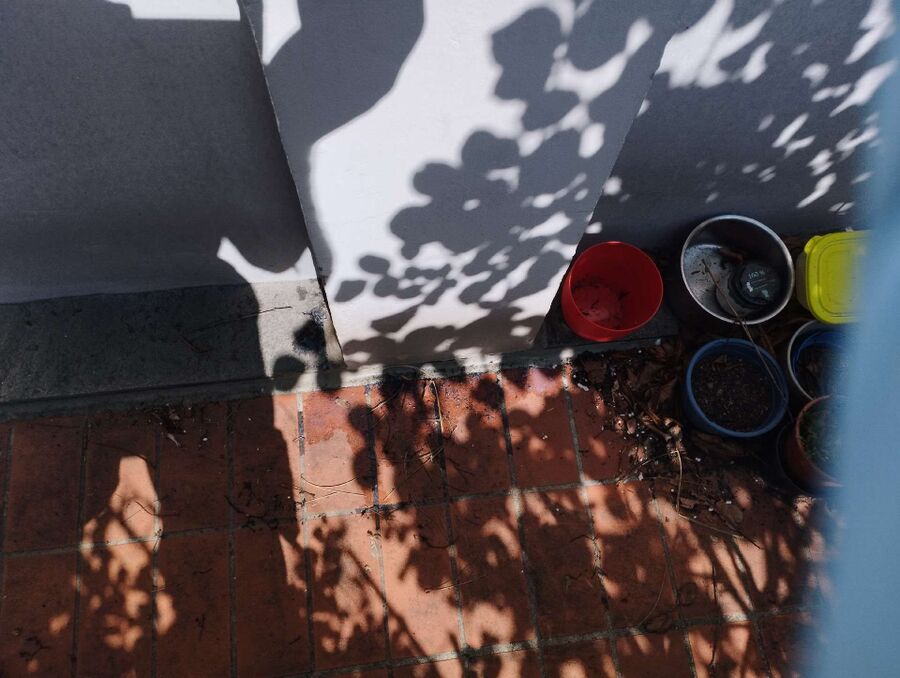 desinfestateur exterminateur-Chancy-Einsatzvorbereitung.jpeg