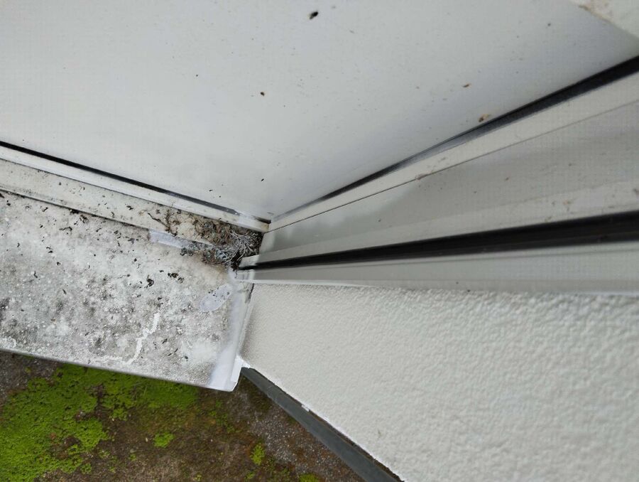 desinfestateur exterminateur-Allaman-Einsatzvorbereitung.jpeg