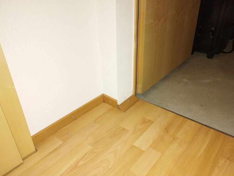 desinfestateur exterminateur-Arnex-sur-Orbe-Einsatzvorbereitung.jpeg