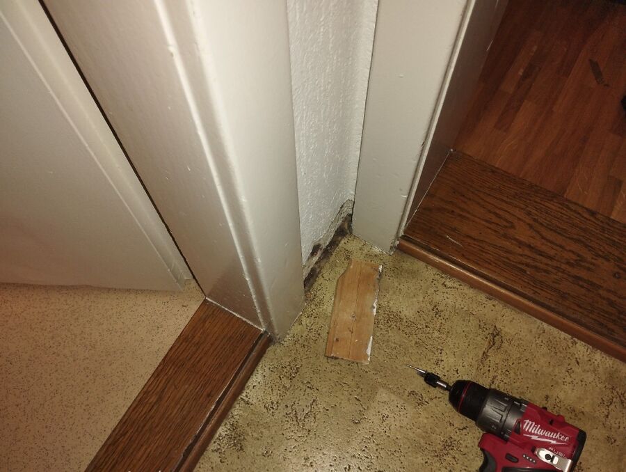 desinfestateur exterminateur-Arzier-Le Muids-Einsatzvorbereitung.jpeg