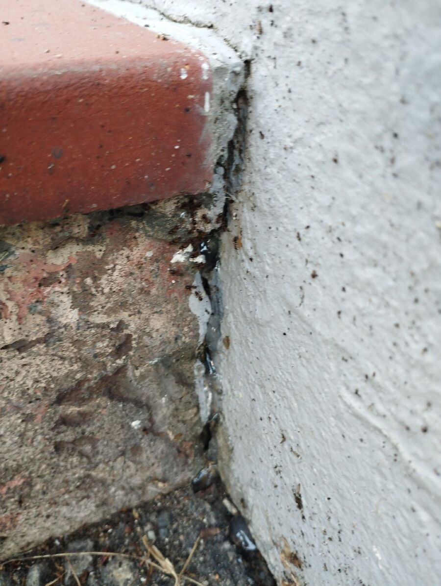 desinfestateur exterminateur-Assens-Einsatzvorbereitung.jpeg