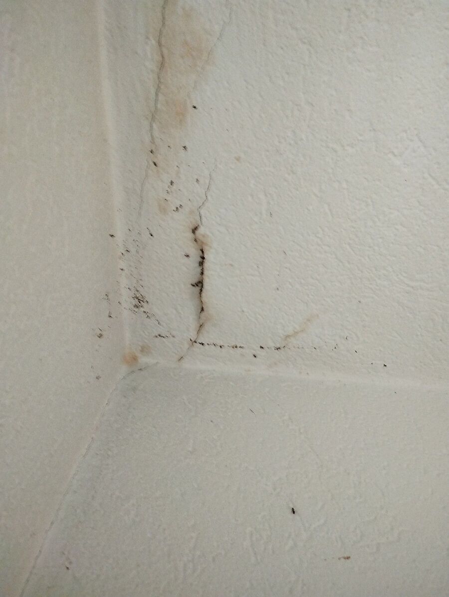 desinfestateur exterminateur-Aubonne-Einsatzvorbereitung.jpeg