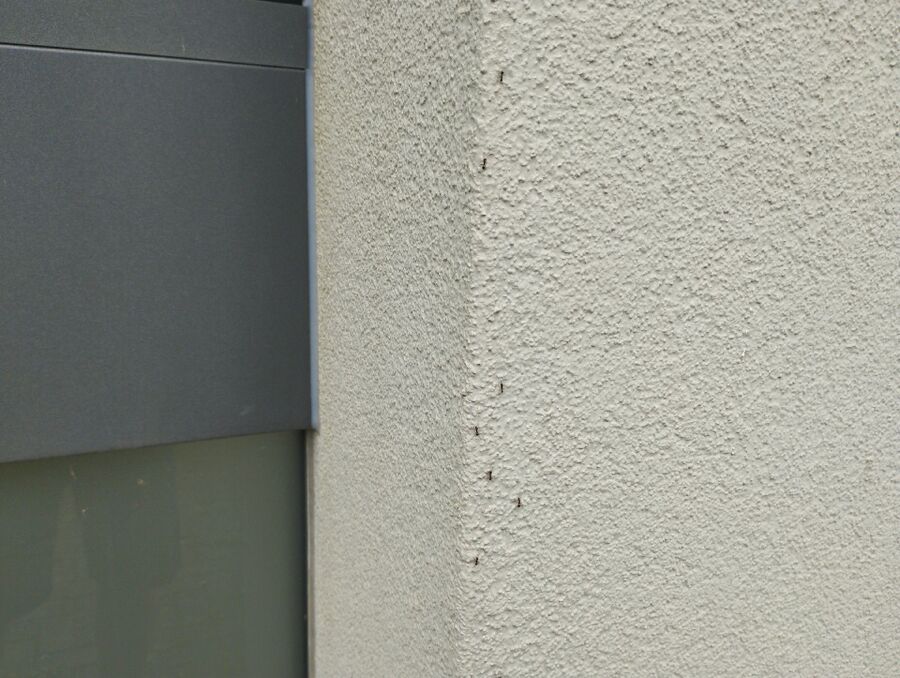 desinfestateur exterminateur-Ballaigues-Einsatzvorbereitung.jpeg