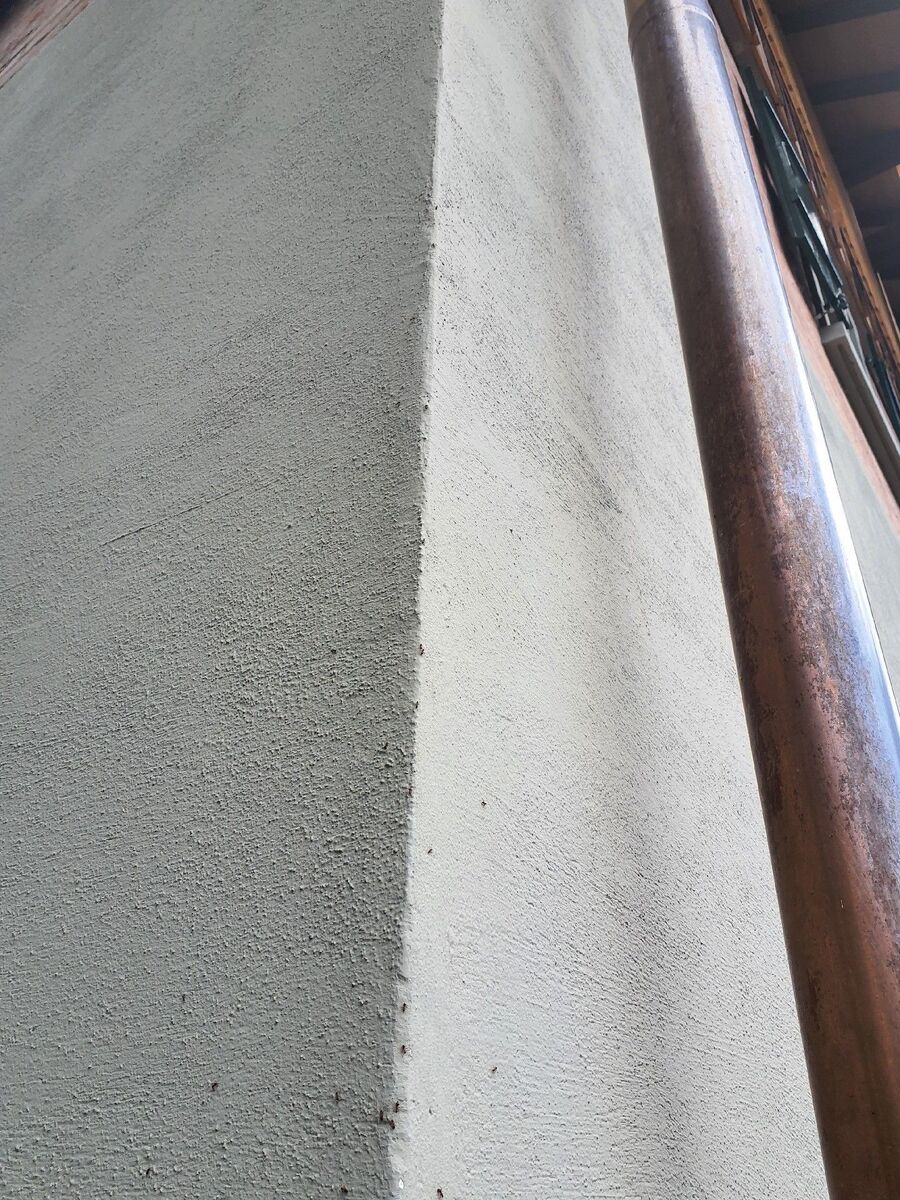 desinfestateur exterminateur-Bavois-Einsatzvorbereitung.jpeg