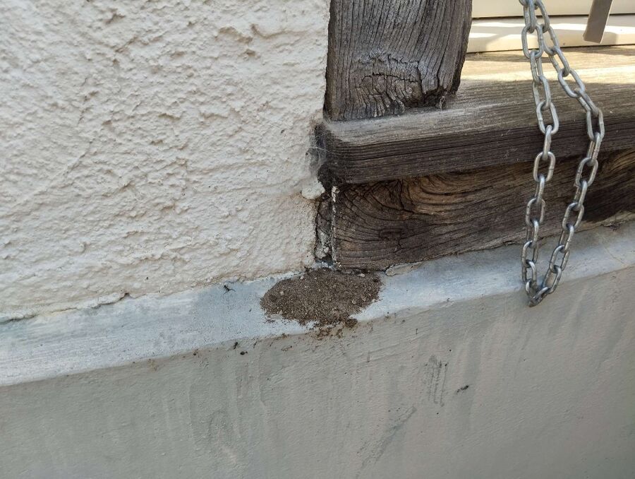 desinfestateur exterminateur-Begnins-Einsatzvorbereitung.jpeg