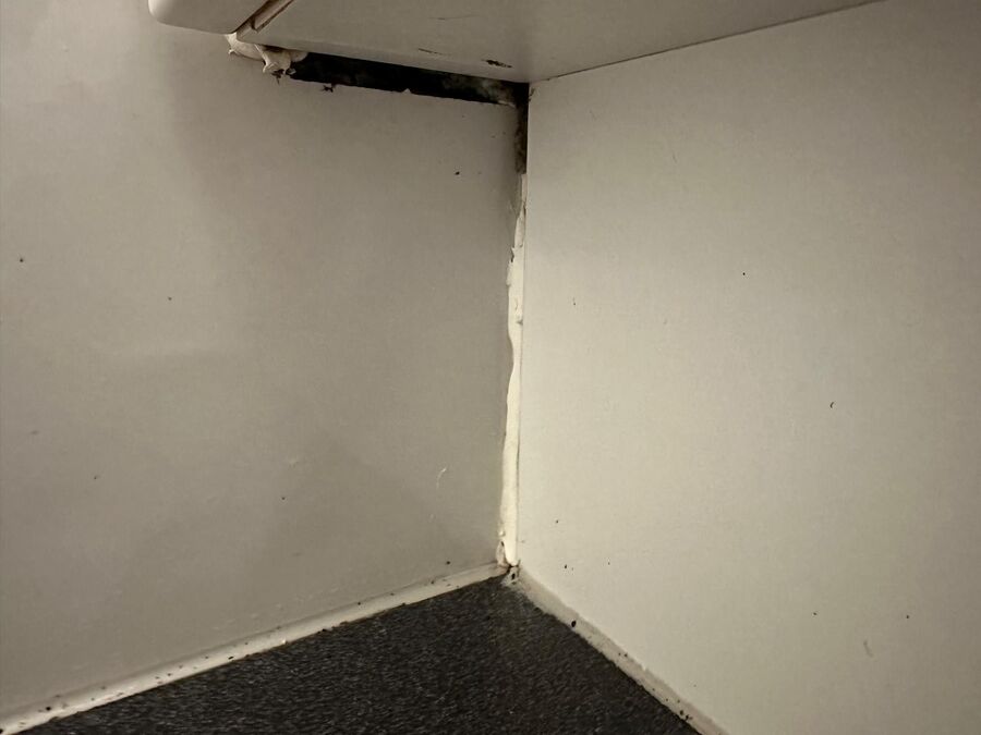 desinfestateur exterminateur-Berolle-Einsatzvorbereitung.jpeg