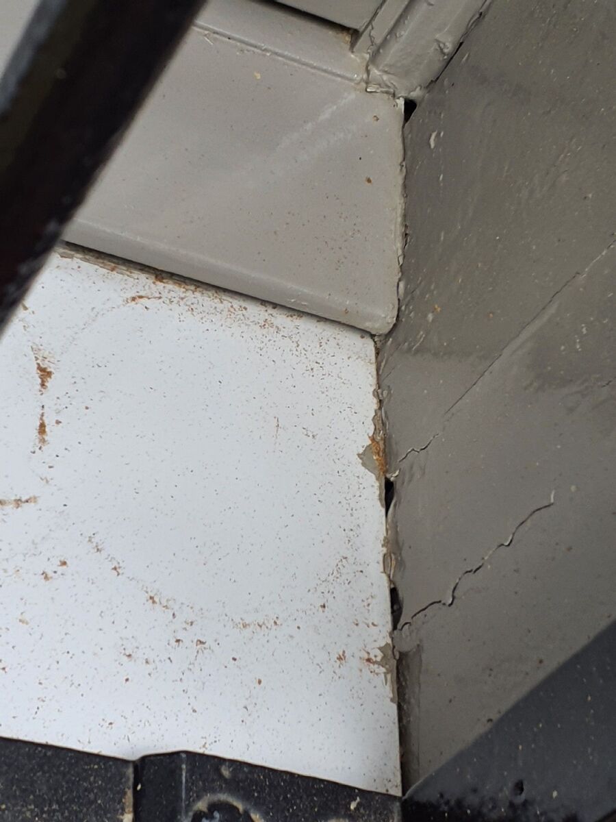 desinfestateur exterminateur-Bofflens-Einsatzvorbereitung.jpeg