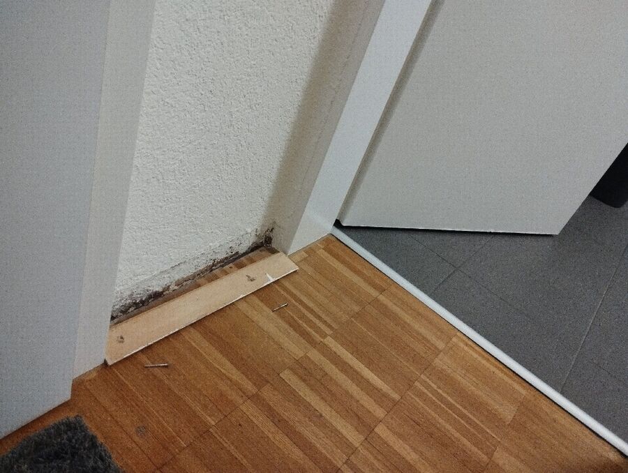 desinfestateur exterminateur-Bogis-Bossey-Einsatzvorbereitung.jpeg