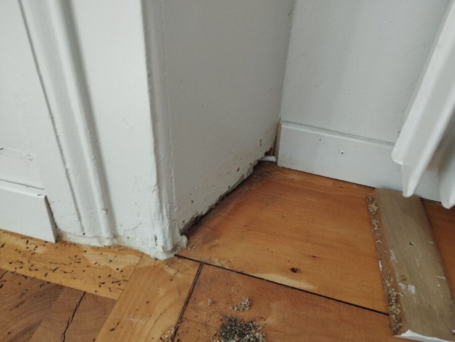 desinfestateur exterminateur-Bonvillars-Einsatzvorbereitung.jpeg