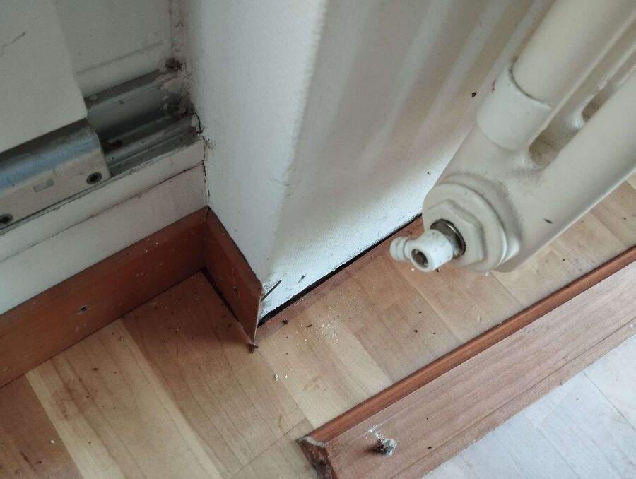 desinfestateur exterminateur-Bougy-Villars-Einsatzvorbereitung.jpeg