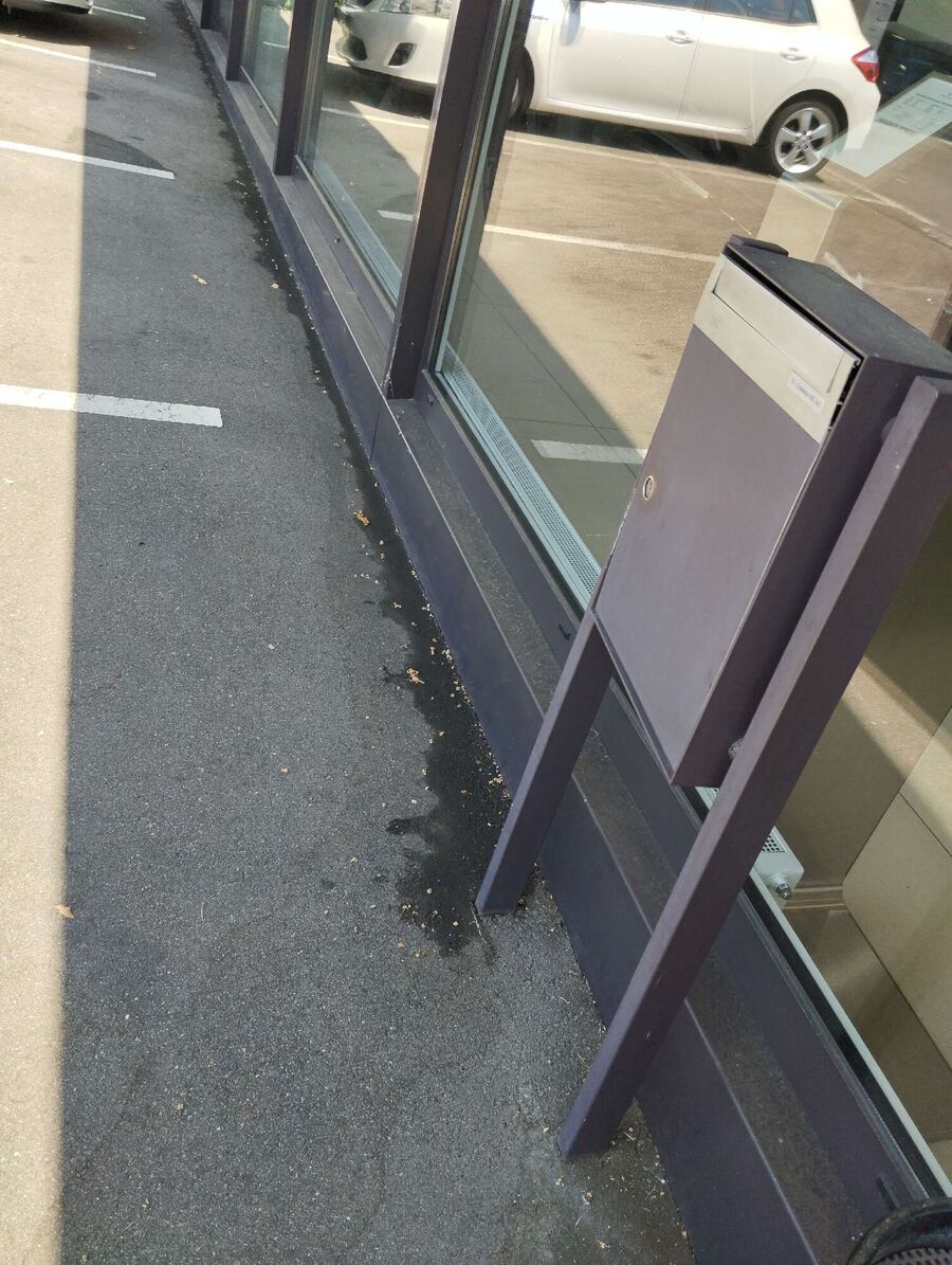 desinfestateur exterminateur-Boulens-Einsatzvorbereitung.jpeg