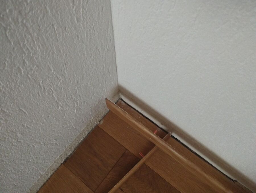 desinfestateur exterminateur-Boussens-Einsatzvorbereitung.jpeg