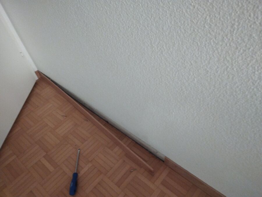 desinfestateur exterminateur-Bretonnières-Einsatzvorbereitung.jpeg