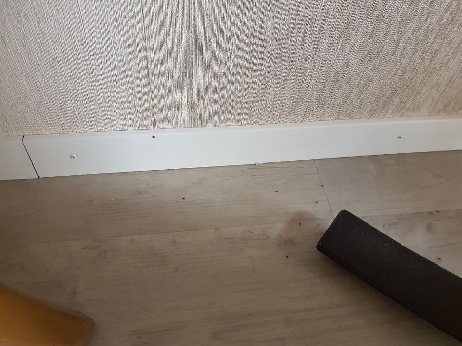 desinfestateur exterminateur-Bullet-Einsatzvorbereitung.jpeg