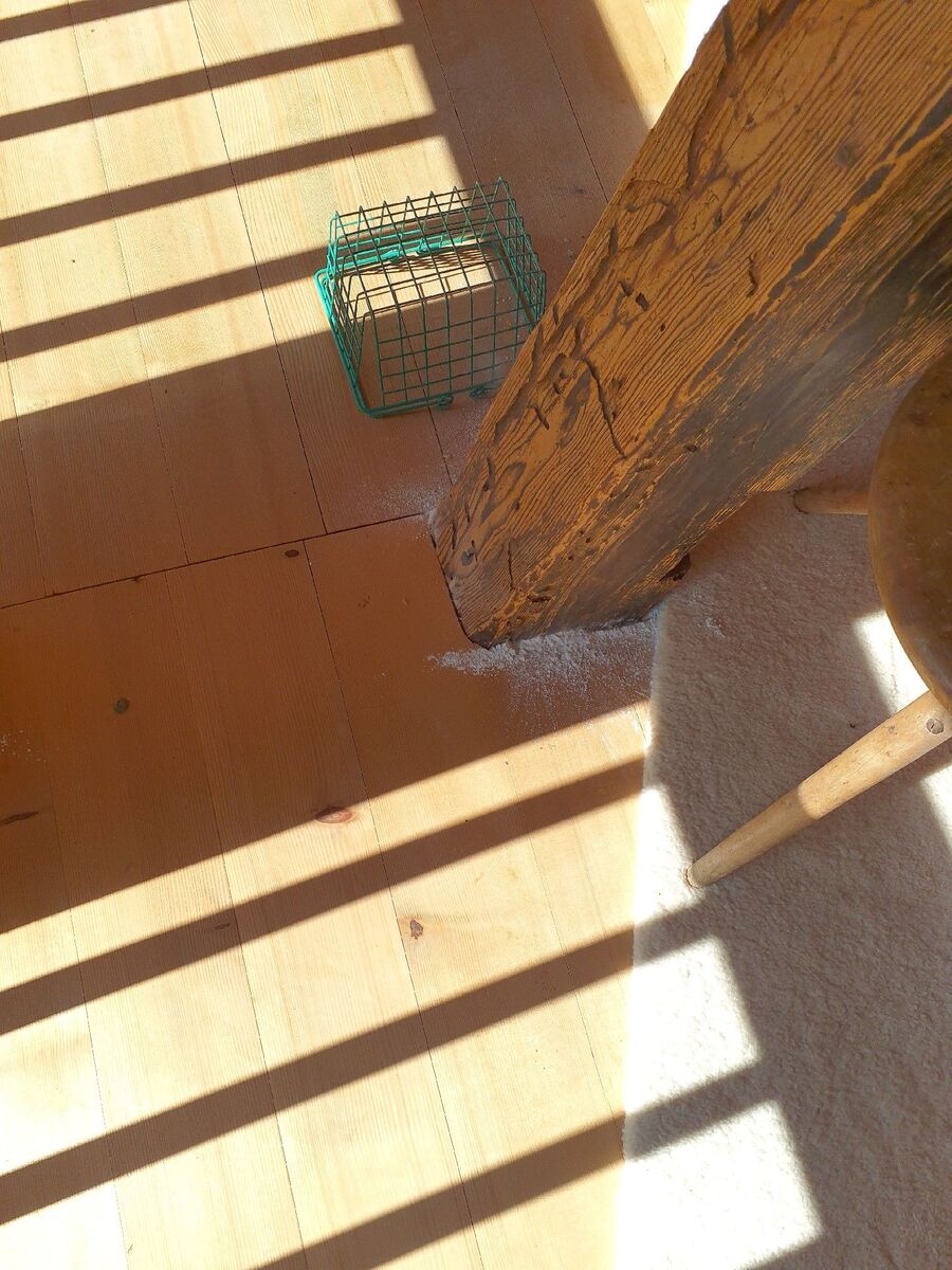 desinfestateur exterminateur-Bursinel-Einsatzvorbereitung.jpeg