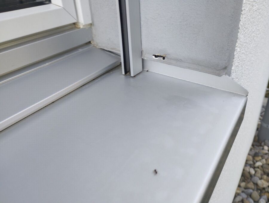 desinfestateur exterminateur-Bursins-Einsatzvorbereitung.jpeg