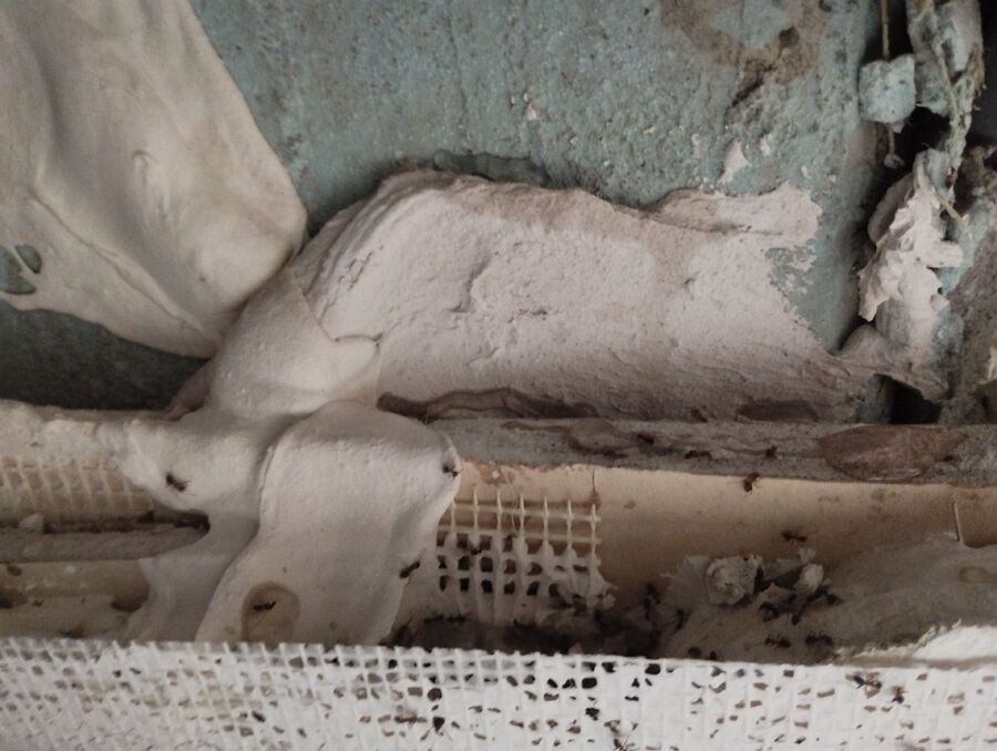 desinfestateur exterminateur-Burtigny-Einsatzvorbereitung.jpeg