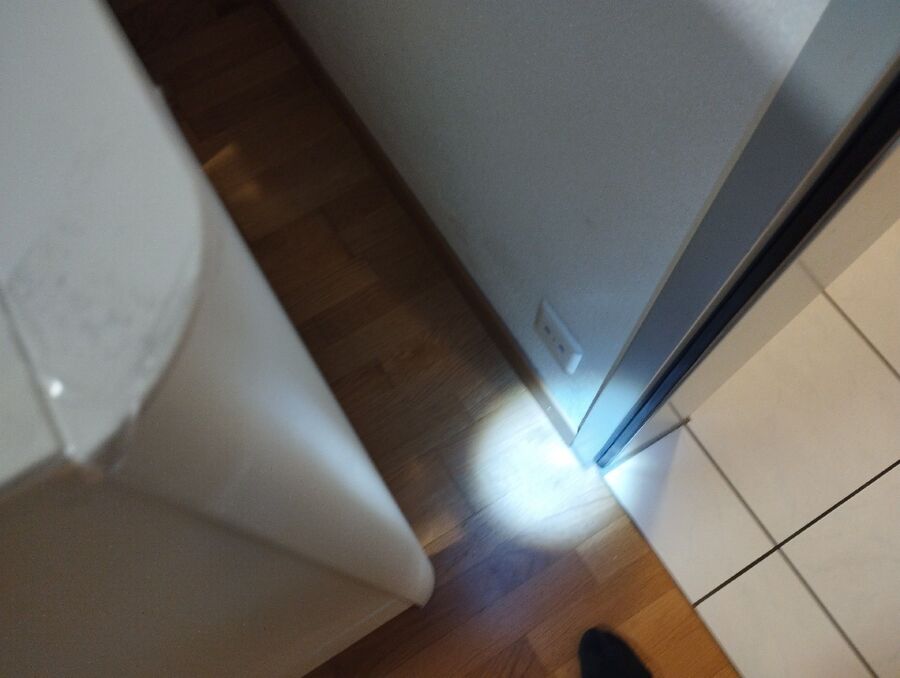 desinfestateur exterminateur-Bussigny-Einsatzvorbereitung.jpeg