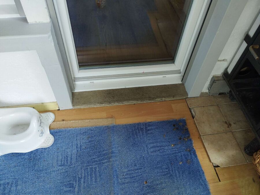 desinfestateur exterminateur-Champagne-Einsatzvorbereitung.jpeg