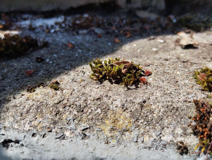 desinfestateur exterminateur-Champvent-Einsatzvorbereitung.jpeg