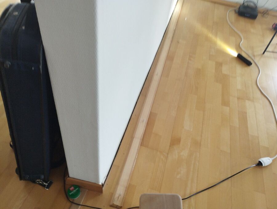 desinfestateur exterminateur-Chavannes-de-Bogis-Einsatzvorbereitung.jpeg