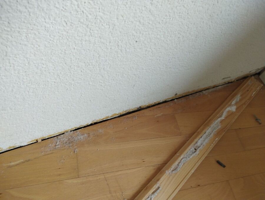 desinfestateur exterminateur-Chavannes-près-Renens-Einsatzvorbereitung.jpeg