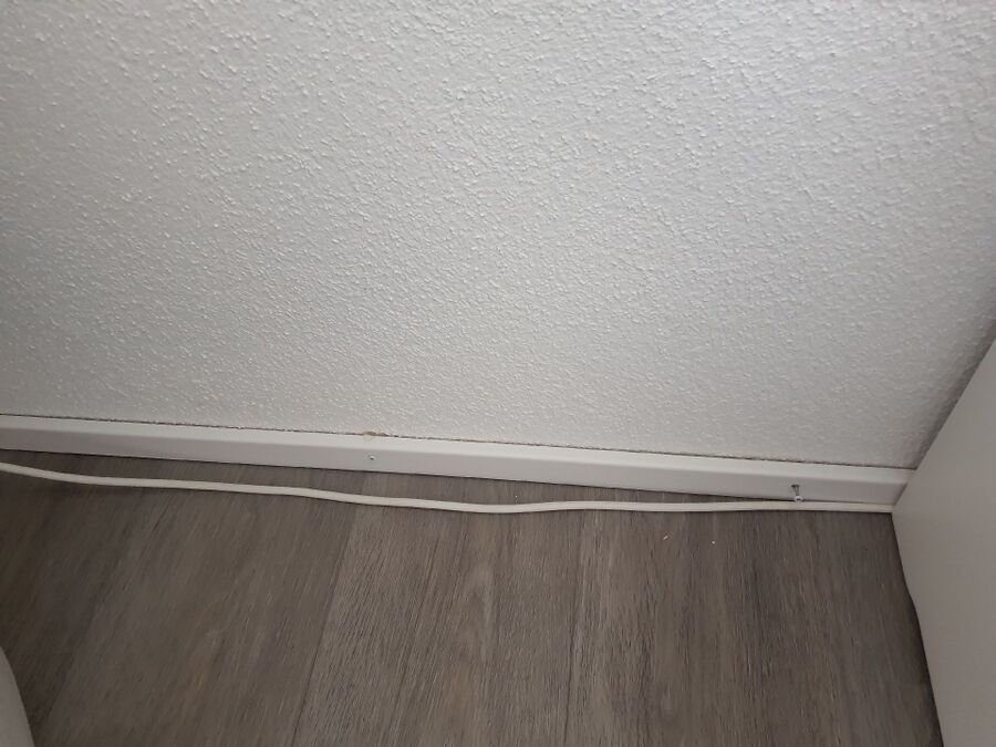 desinfestateur exterminateur-Chavornay-Einsatzvorbereitung.jpeg