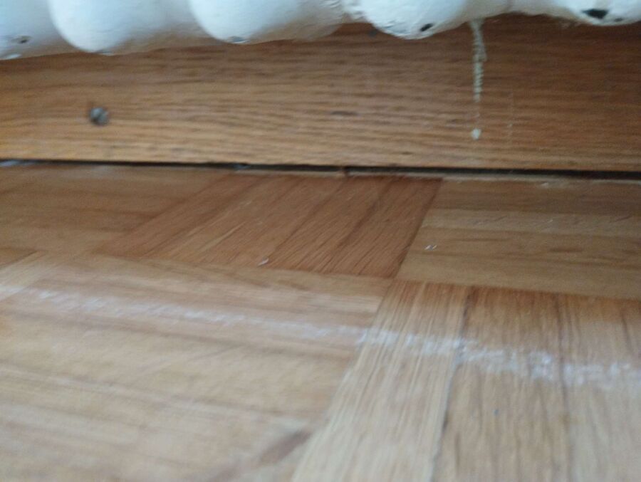 desinfestateur exterminateur-Cologny-Einsatzvorbereitung.jpeg