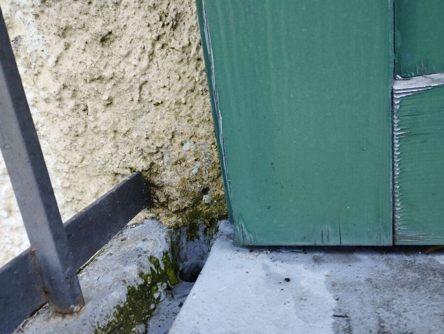 desinfestateur exterminateur-Cheseaux-Noréaz-Einsatzvorbereitung.jpeg