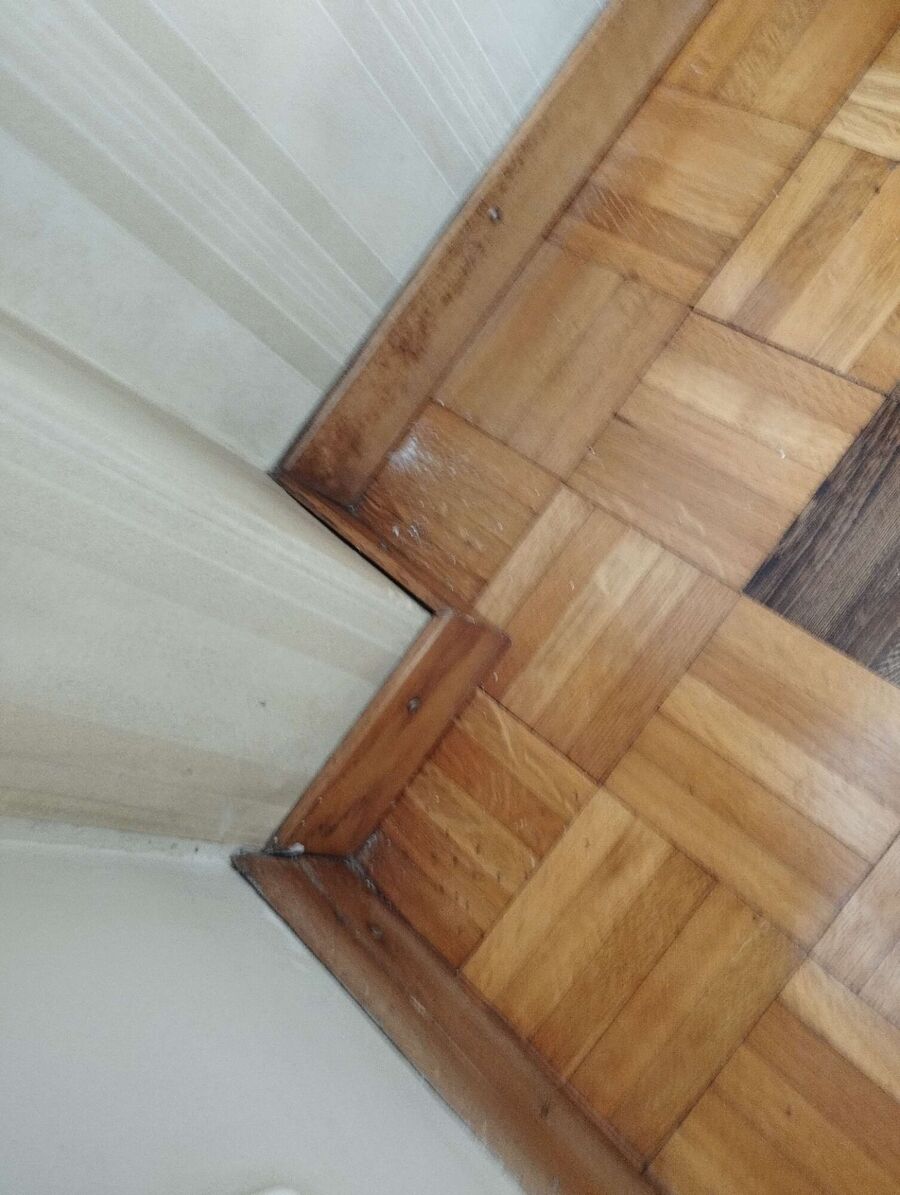 desinfestateur exterminateur-Chéserex-Einsatzvorbereitung.jpeg